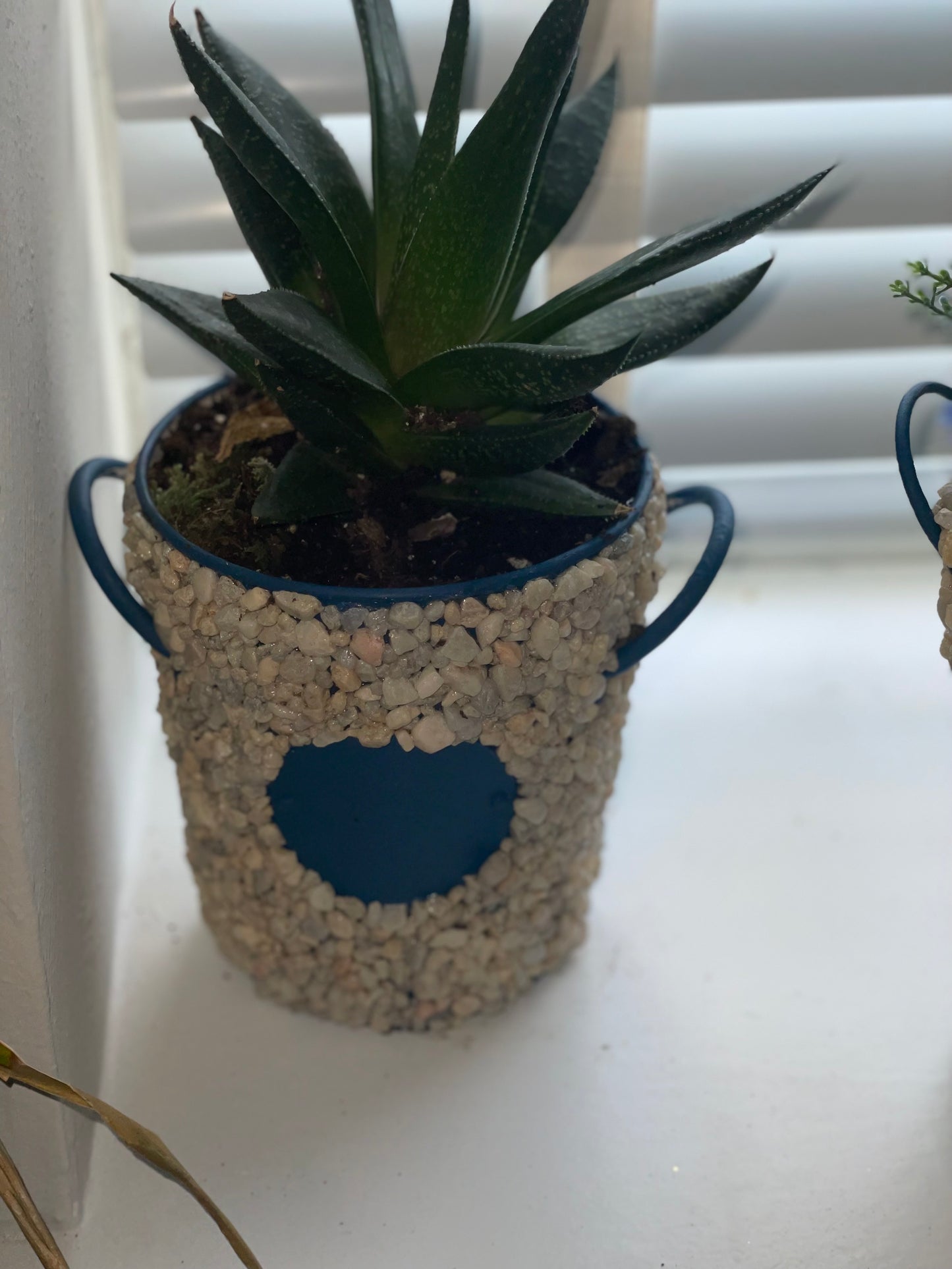 Stone and blue planter